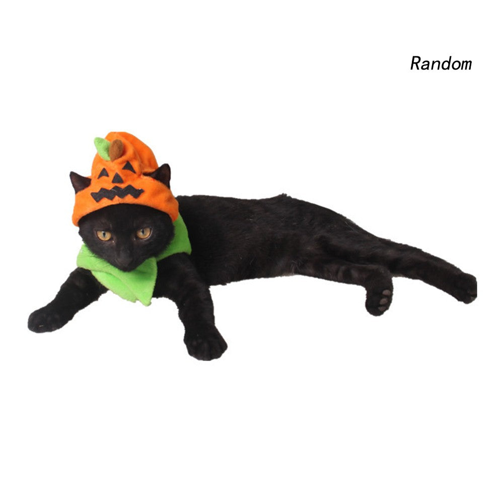 ◆RAN◆Cute Pet Cat Costume Cosplay Pumpkin Hat Cap Halloween Party Headwear Decor