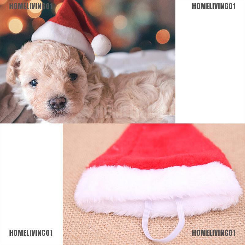 ［COD］HOMELIVING01 Christmas pet santa hat small puppy cat dog xmas holiday costume ornaments