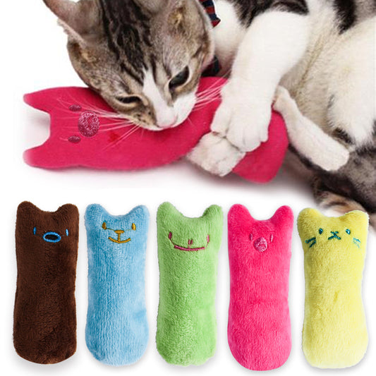 Factory spot grinding expression interactive Teddy toy resistance bite pet supplies cat mint plush toys