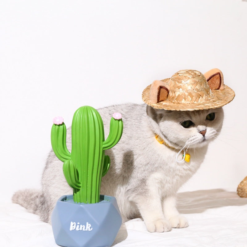 Cat Hat Pet Hat Summer Sunscreen Lovely Frog Fox Antler Ear Hat Cat Method Dog Fighting Shooting Props