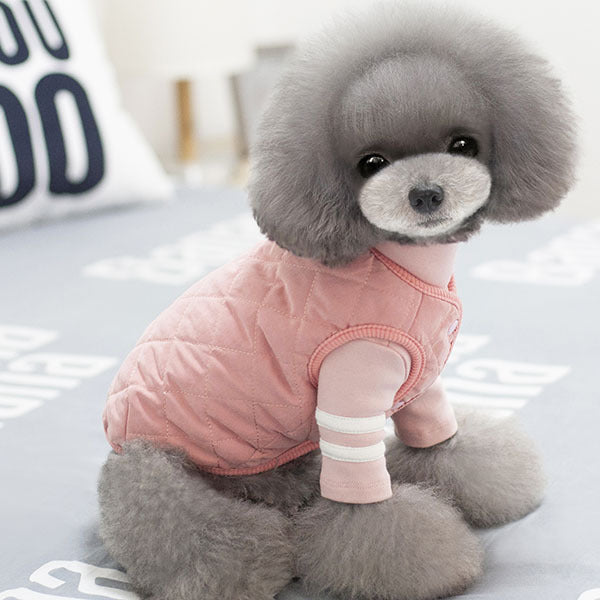 1 batch of foreign trade Amazon vest pet clothes puppy dog cotton coat thick teddy bichon bomei autumn and winter clothes