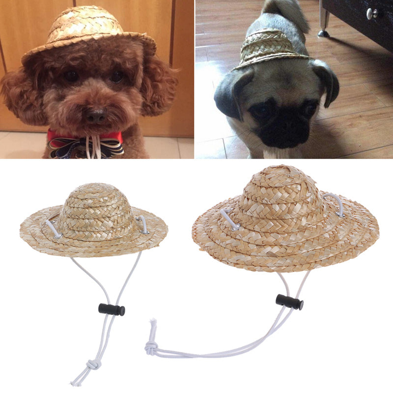 Hawaiian Style Pet Sombrero Hat Dog Cat Hat Small/Large Diameter 14cm 16cm