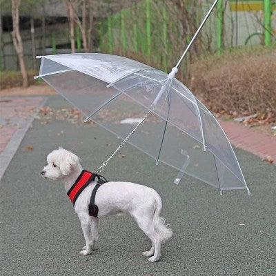 RX pet supplies rain gear umbrella creative traction rope puppy raincoat with chain Tidi Bear small dog