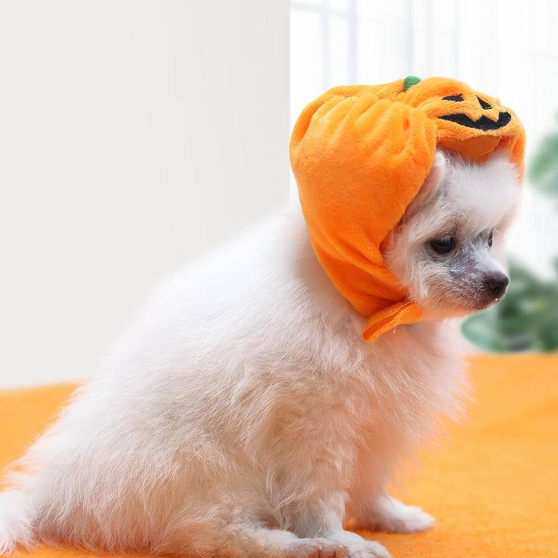 Pets Halloween Pumpkin Hat Dog And Cat Pet Halloween Costume Hat Supplies Pet Cat Dog Pumpkin Hat Halloween Ghost Festival Decorative Headdress Supplies Small Medium Large Dog Teddy/French Bulldog