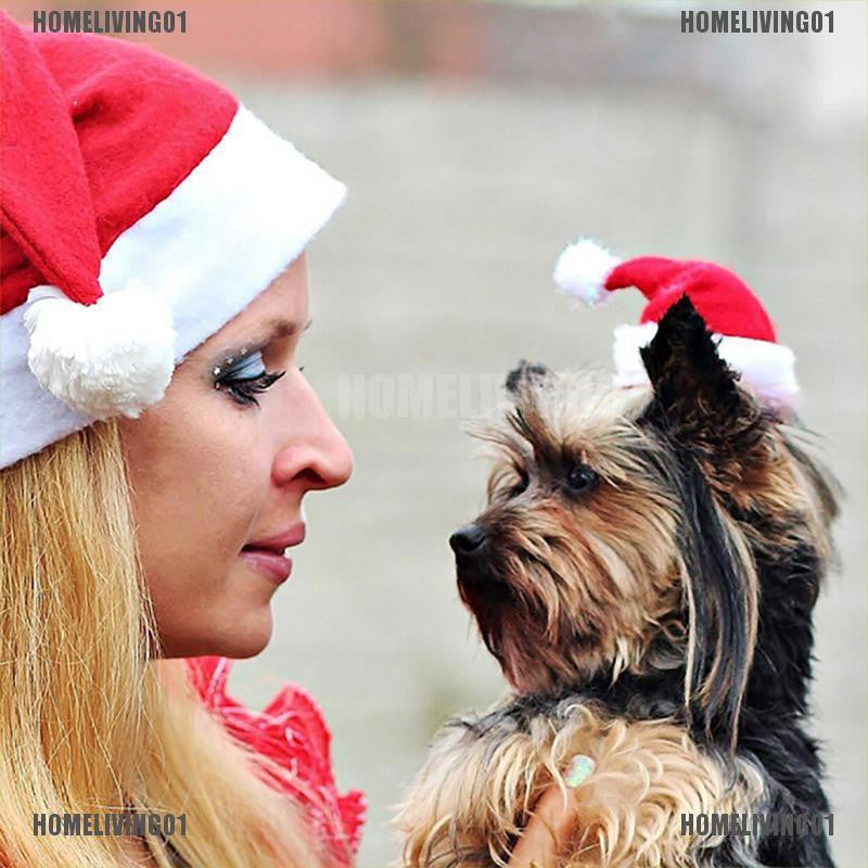 ［COD］HOMELIVING01 Christmas pet santa hat small puppy cat dog xmas holiday costume ornaments