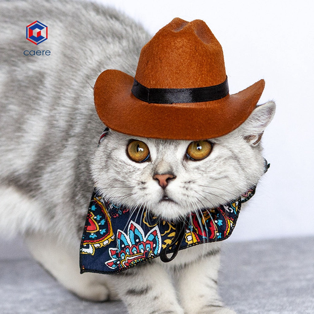 HOT SALE| Dog Hat Skin-friendly Cool Stylish Fabric Cat Cowboy Hat for Puppy