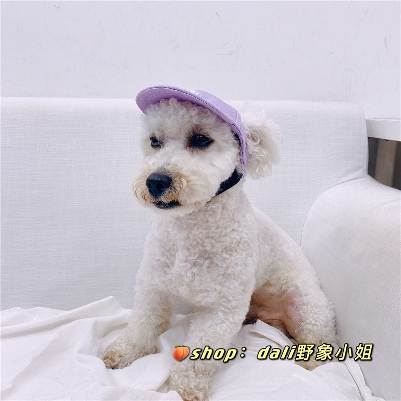 DailyPet Love Pet Shop|Korea Korea NY Cat Dog Small Hat ins Style English Embroidered Cap Baseball Teddy Bichon LA Cute Earless Puppy