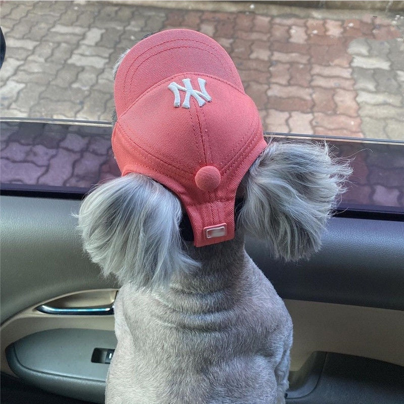 DailyPet Love Pet Shop|Korea Korea NY Cat Dog Small Hat ins Style English Embroidered Cap Baseball Teddy Bichon LA Cute Earless Puppy