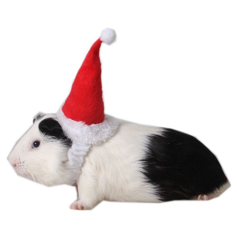 ESP Small Animals Pet Santa Claus Hat Rabbit Hamster Guinea Pig Rats Christmas Cap