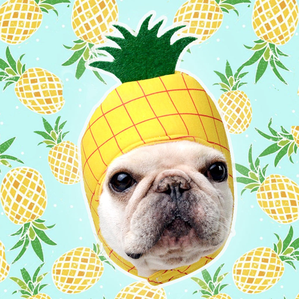 gooditem Pet Cap Cartoon Fruit Photography Prop Soft Texture Cute Pet Cats Puppy Pineapple Shape Hat for Theme Party