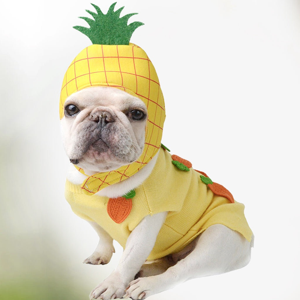 gooditem Pet Cap Cartoon Fruit Photography Prop Soft Texture Cute Pet Cats Puppy Pineapple Shape Hat for Theme Party