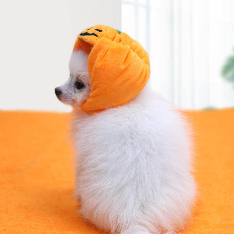 Pets Halloween Pumpkin Hat Dog And Cat Pet Halloween Costume Hat Supplies Pet Cat Dog Pumpkin Hat Halloween Ghost Festival Decorative Headdress Supplies Small Medium Large Dog Teddy/French Bulldog