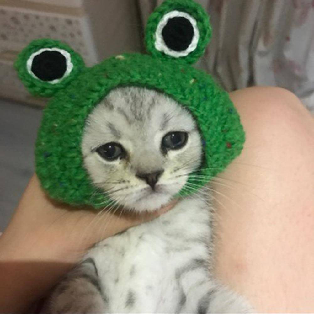 Handmade DIY Pet Cat Dog Creative Frog Design Hat Warm Knitted Hat Gift