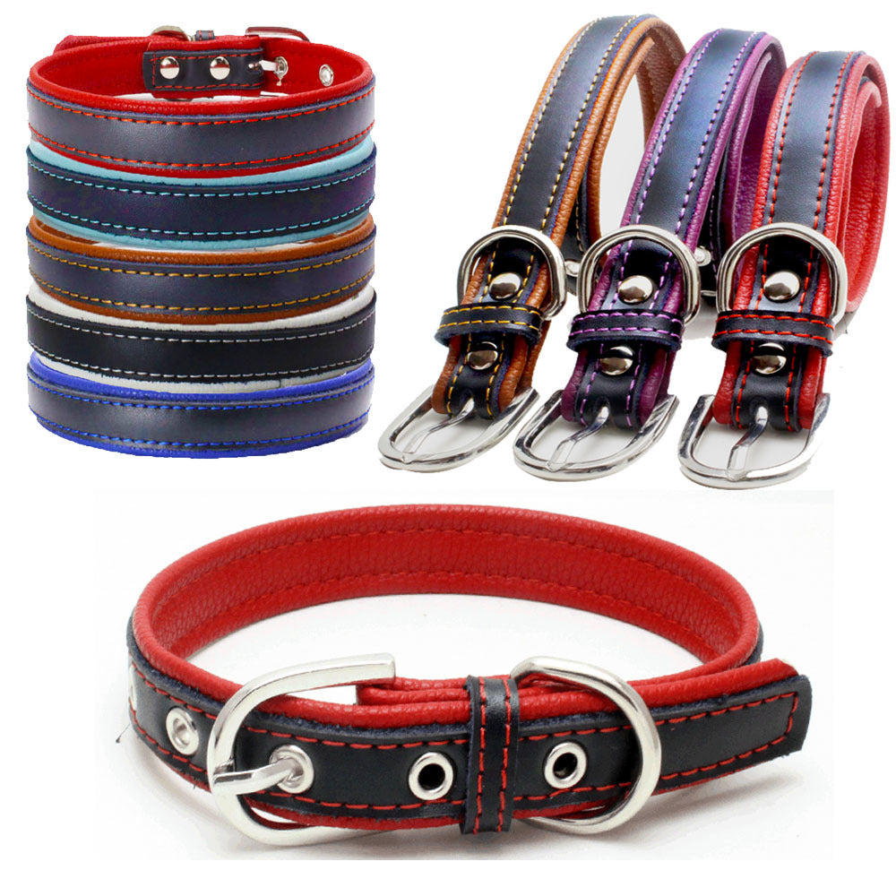 Berry explosion color leather pet collar stainless steel film lettering dog collar cortical traction rope Amazon