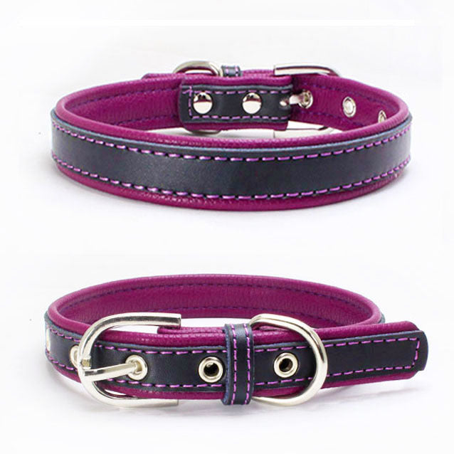 Berry explosion color leather pet collar stainless steel film lettering dog collar cortical traction rope Amazon