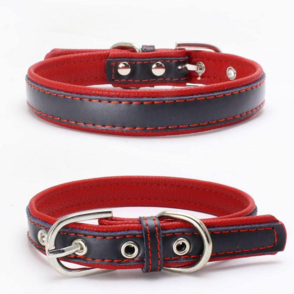 Berry explosion color leather pet collar stainless steel film lettering dog collar cortical traction rope Amazon