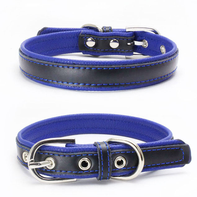 Berry explosion color leather pet collar stainless steel film lettering dog collar cortical traction rope Amazon