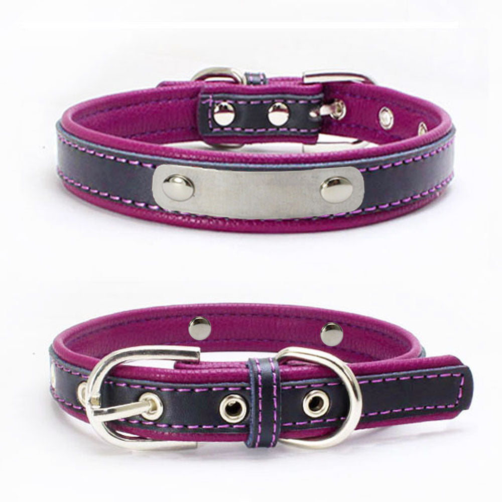 Berry explosion color leather pet collar stainless steel film lettering dog collar cortical traction rope Amazon