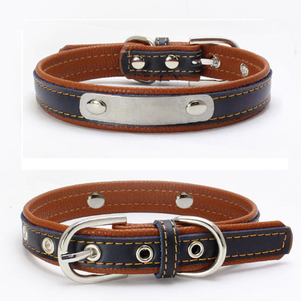 Berry explosion color leather pet collar stainless steel film lettering dog collar cortical traction rope Amazon