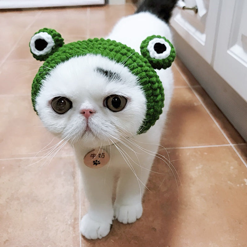 Pet Cartoon Knitted Cat and Dog Hat Cute Frog Shape Headwear