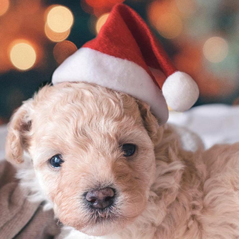 Christmas Small Plush Santa Hat for Pet Dog Cat Hat Merry Christmas Decorations For Home Cap