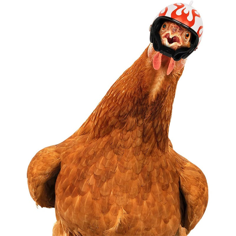 Creative Chicken Helmet Funny Protective Hen Hat Bird Hat Headgear Helmet For Chicken Bird Chicken Bird Funny Helmet Headgear CR1