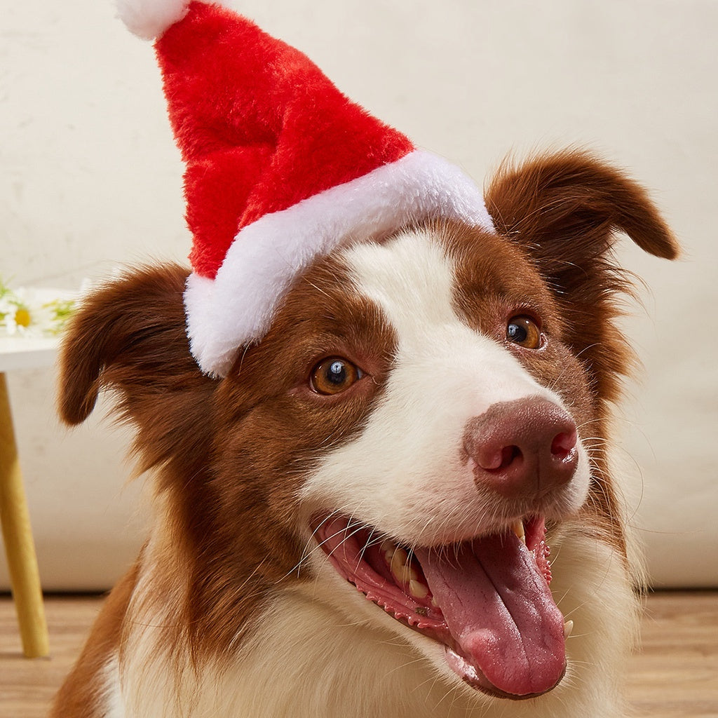 Christmas Pet Santa Hat Puppy Cat Dog Hat Xmas Costume Ornaments