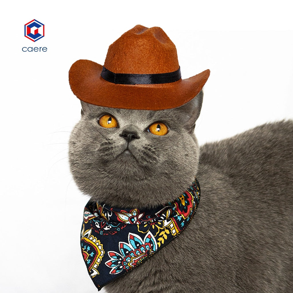 HOT SALE| Dog Hat Skin-friendly Cool Stylish Fabric Cat Cowboy Hat for Puppy