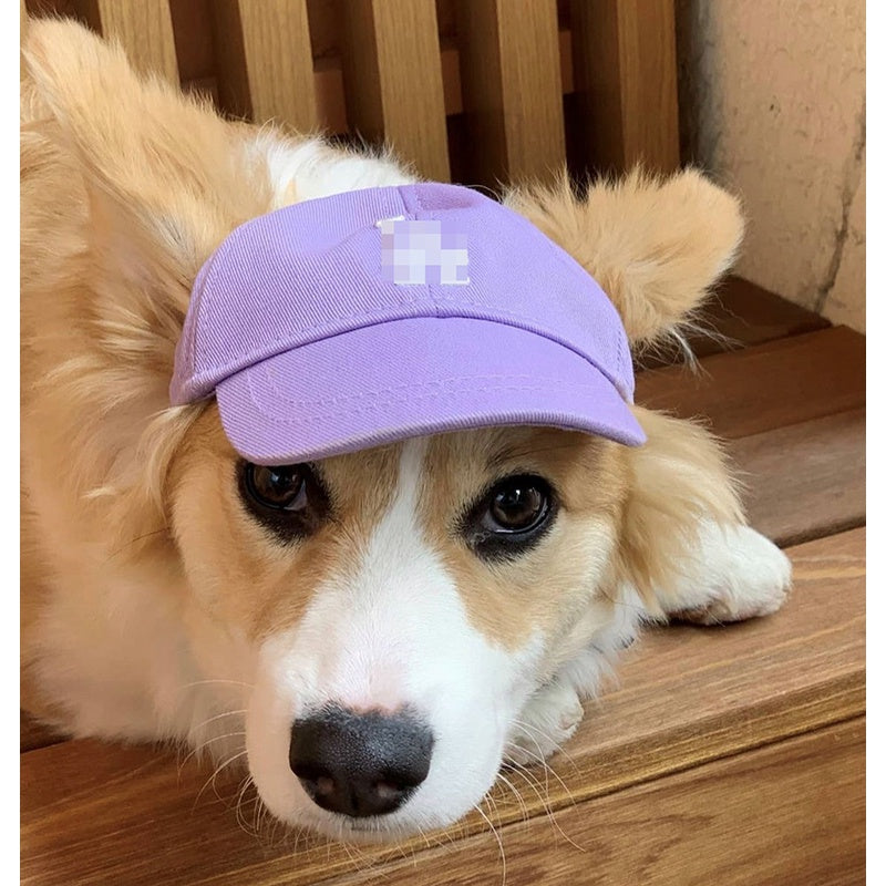 Pet Hat Korea Korean Version Ins Pet LA Hat Dog Accessories Sun Hat Adjustable NY Baseball Cap