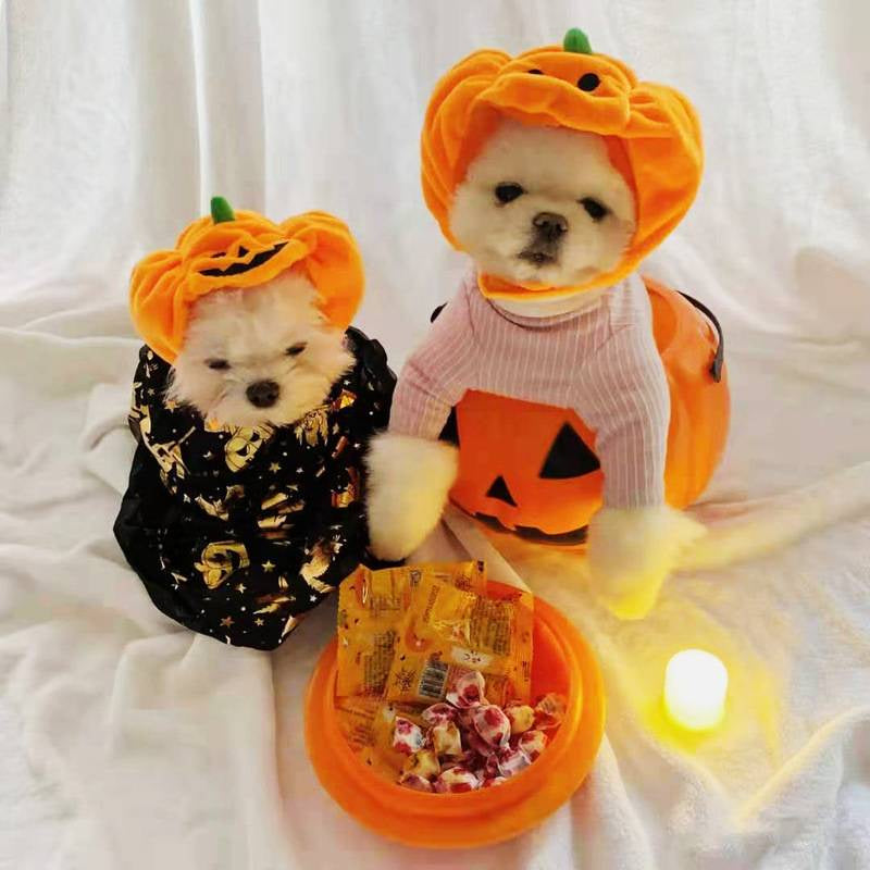 Pets Halloween Pumpkin Hat Dog And Cat Pet Halloween Costume Hat Supplies Pet Cat Dog Pumpkin Hat Halloween Ghost Festival Decorative Headdress Supplies Small Medium Large Dog Teddy/French Bulldog