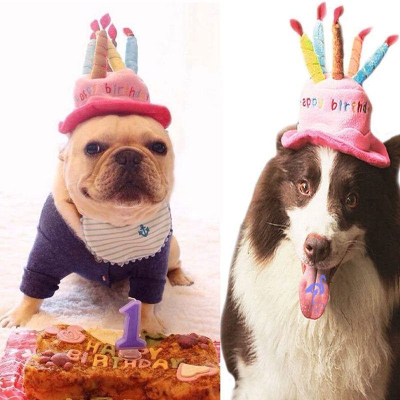 Cute Dog Cat Birthday Cake Hat Pet Cap Pet Hat with 5 Color Candles Design Party Accessory