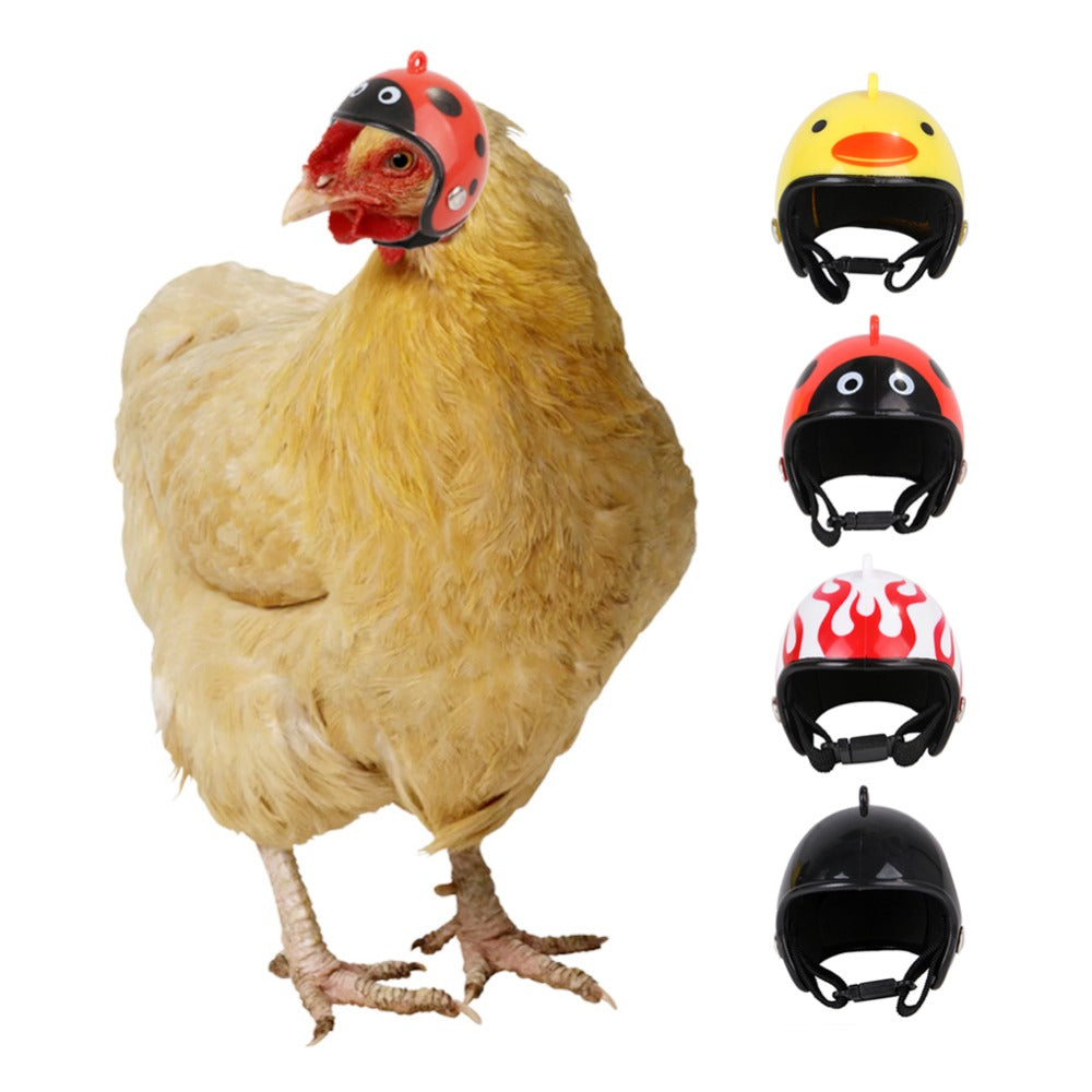 LONTIME Toy Pet Protective Headgear ABS Sun Rain Protection Hats Chicken Helmet Accessories Light Pet Supplies Funny Bird Protect Cap