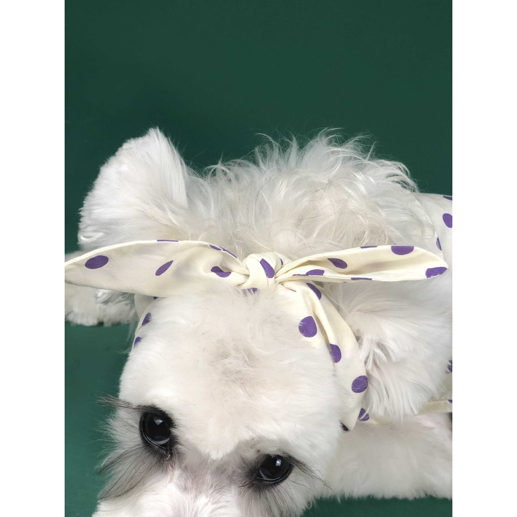 Spring Summer Vacation Style Pet Dress Polka Dot Cute Dog Princess Pajamas With Bow Headdress Hat Headband