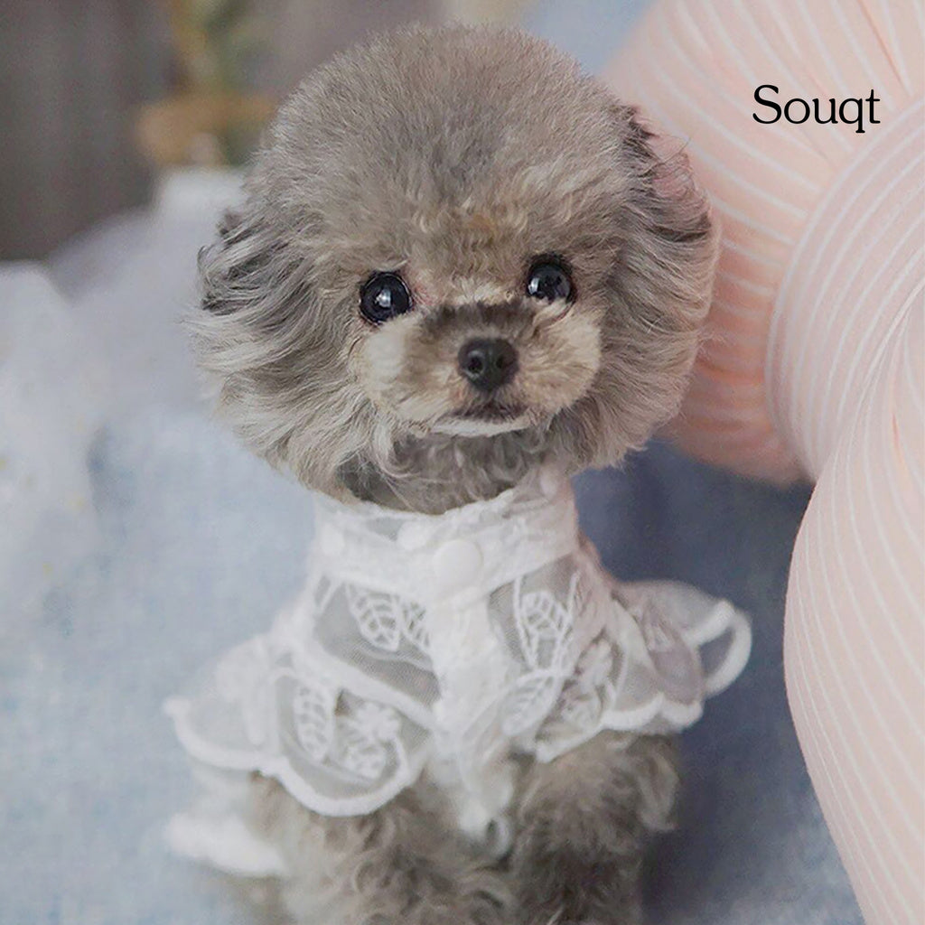 Pet Hat Breathable Good-looking Round Neck Puppy Lace Skirt for Dog Supplies