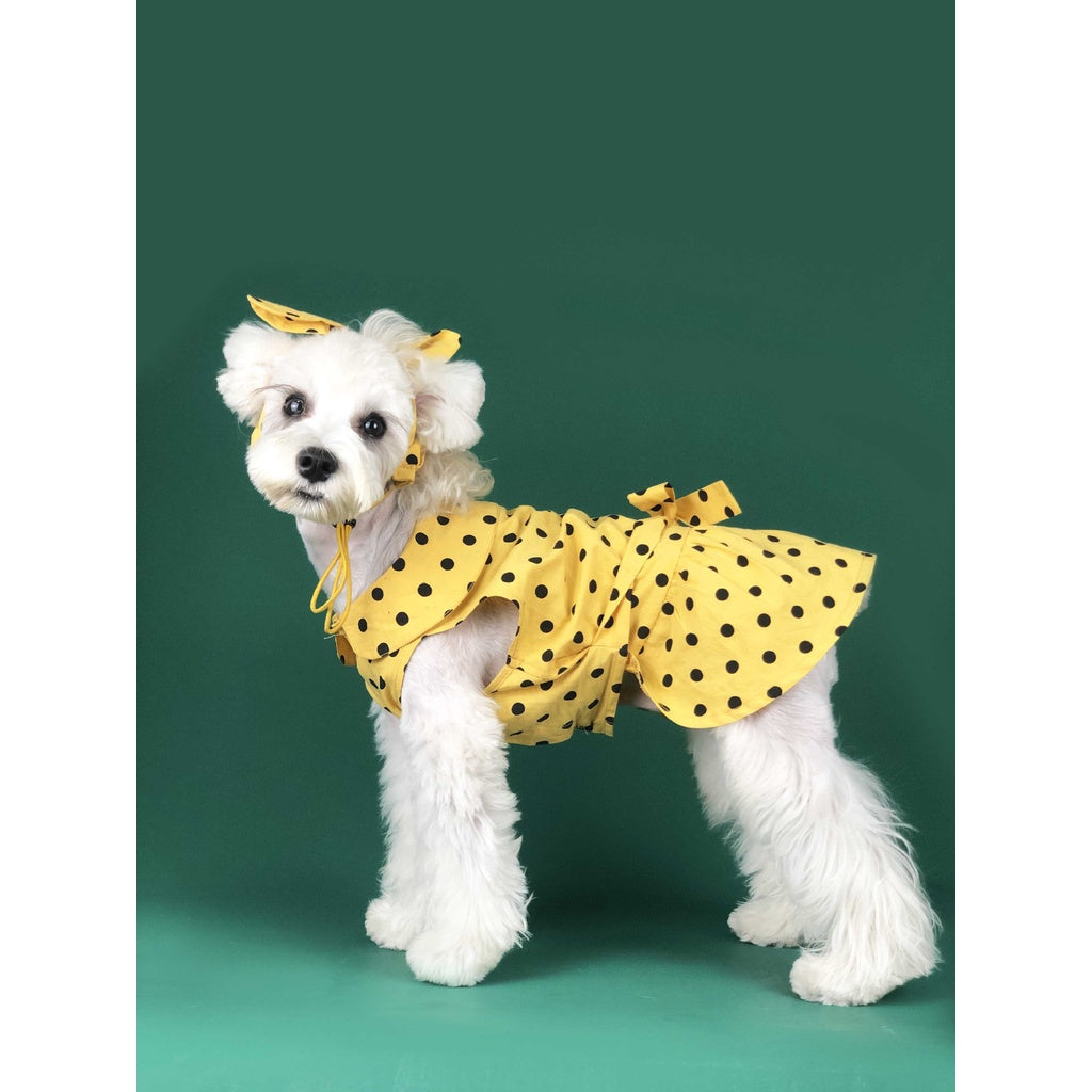 Spring Summer Vacation Style Pet Dress Polka Dot Cute Dog Princess Pajamas With Bow Headdress Hat Headband