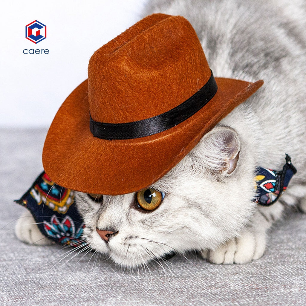 HOT SALE| Dog Hat Skin-friendly Cool Stylish Fabric Cat Cowboy Hat for Puppy