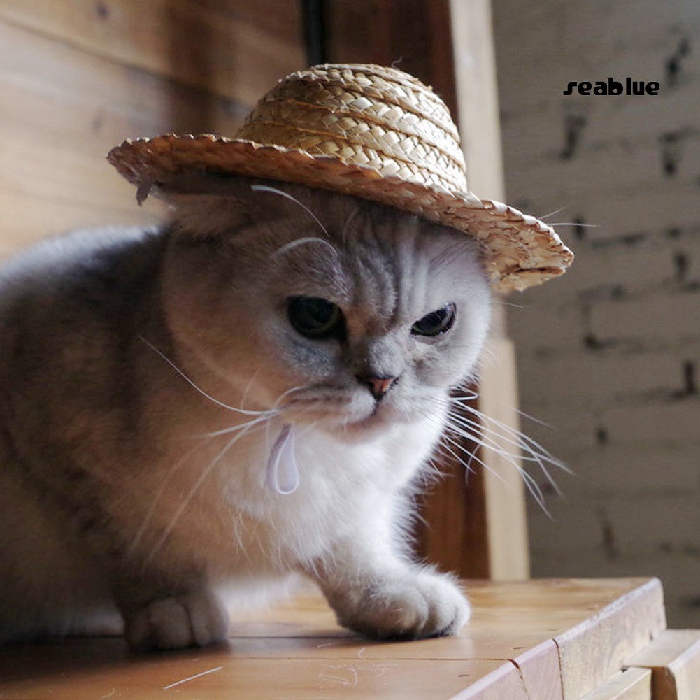 Novelty Summer Adjustable Pet Dog Outdoor Straw Hat Puppy Small Cat Sunhats