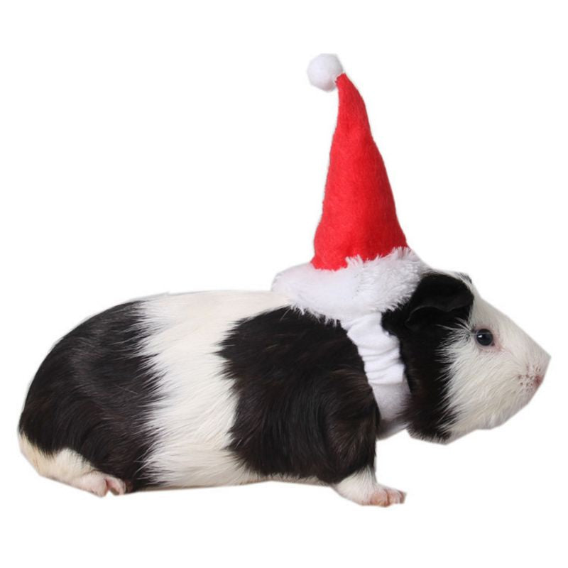 ESP Small Animals Pet Santa Claus Hat Rabbit Hamster Guinea Pig Rats Christmas Cap