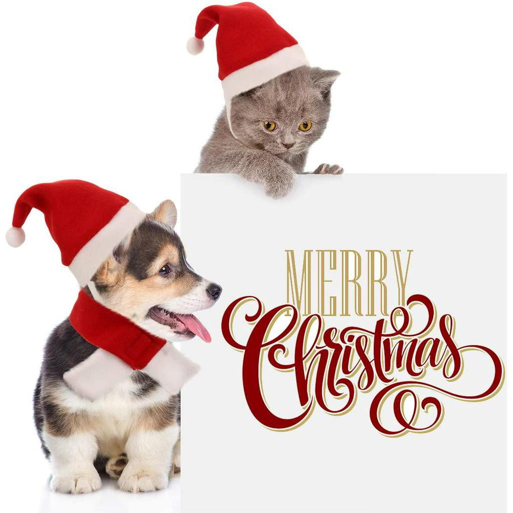 2 Pieces Christmas Pet Dog Santa Hat Pet Santa Scarf for Pet Dogs Cats Dressing Up Supplies Cute Santa Hat & Scarf Xmas Red Costume Suit