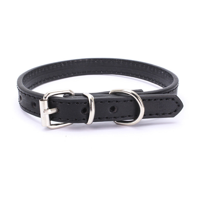 Special hot sale pet supplies small light board cat and dog pet collar dog chain monochrome single code 10 pieces / package wholesale