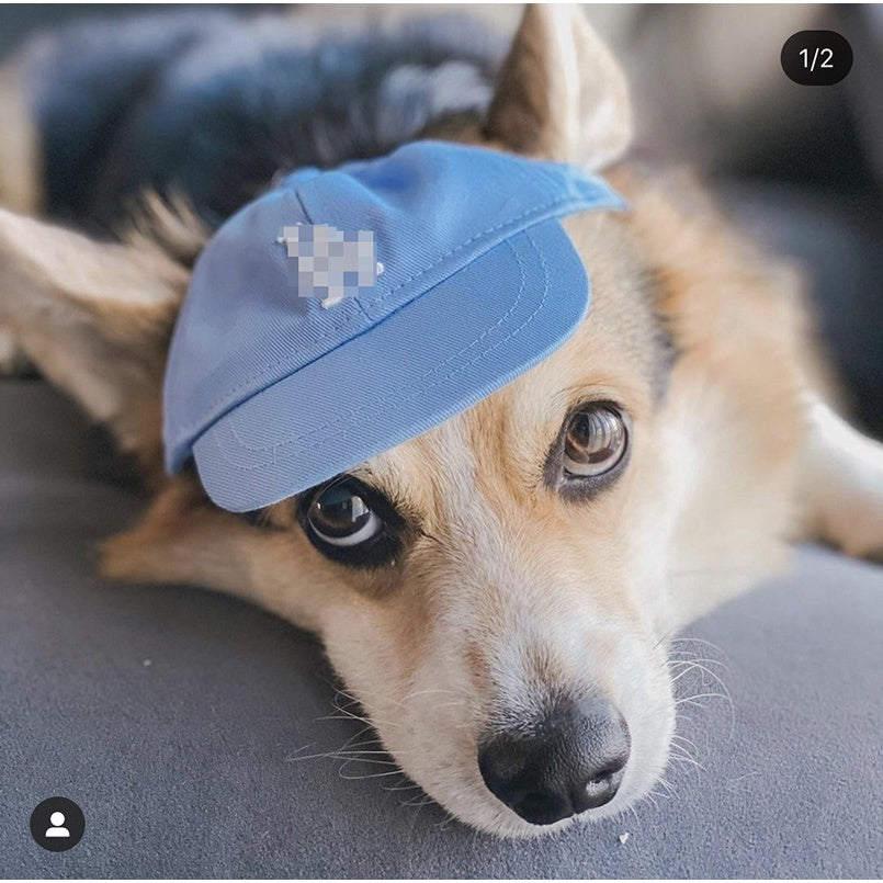 Pet Hat Korea Korean Version Ins Pet LA Hat Dog Accessories Sun Hat Adjustable NY Baseball Cap