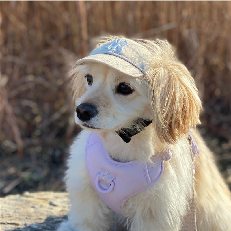 DailyPet Love Pet Shop|Korea Korea NY Cat Dog Small Hat ins Style English Embroidered Cap Baseball Teddy Bichon LA Cute Earless Puppy