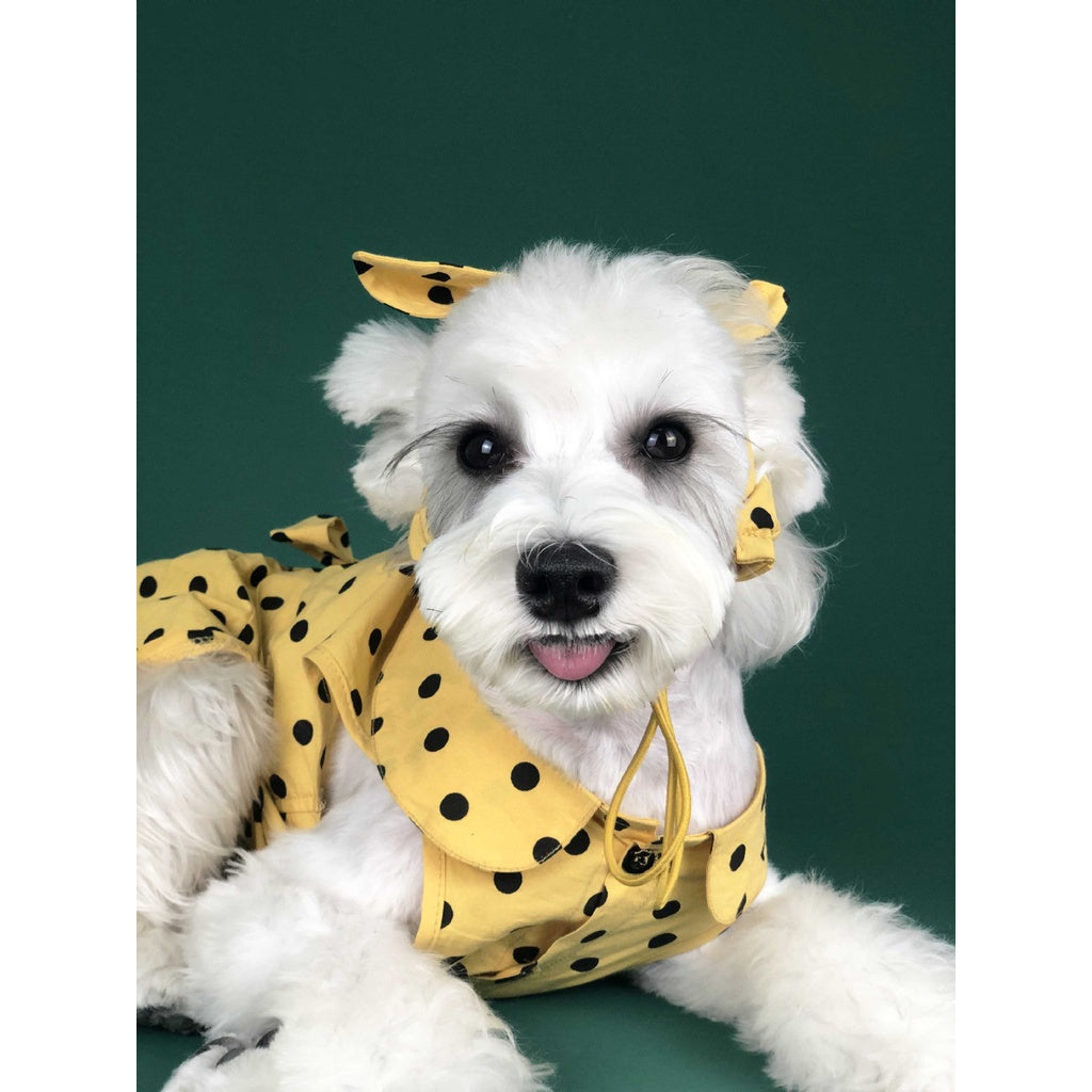 Spring Summer Vacation Style Pet Dress Polka Dot Cute Dog Princess Pajamas With Bow Headdress Hat Headband