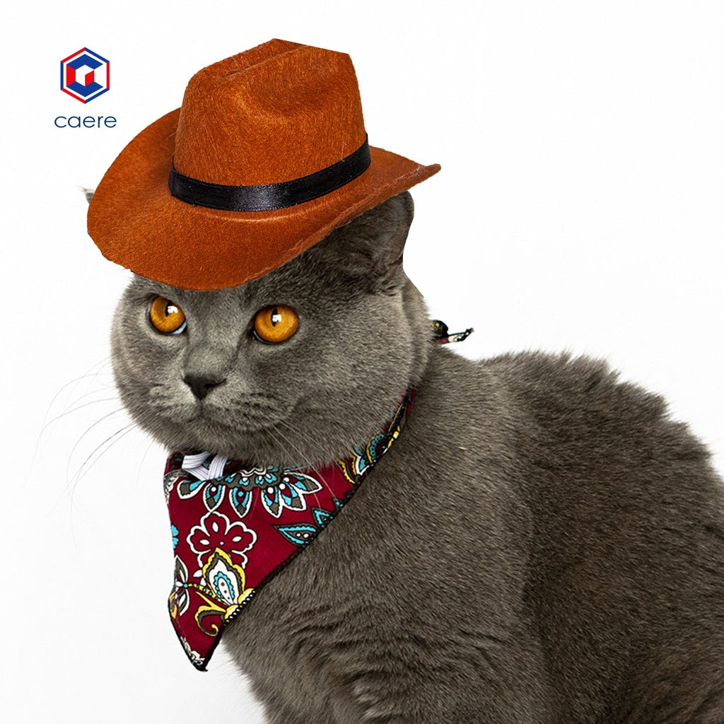 HOT SALE| Dog Hat Skin-friendly Cool Stylish Fabric Cat Cowboy Hat for Puppy