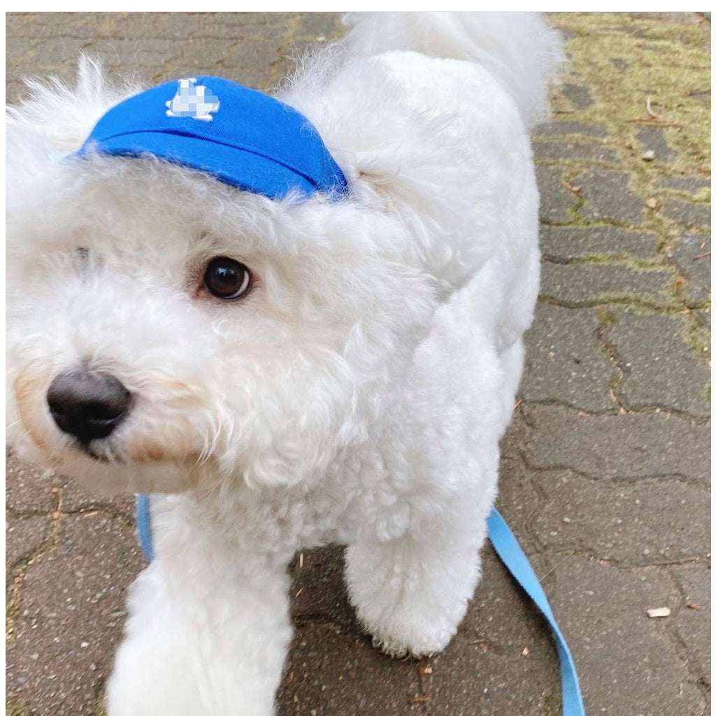 Pet Hat Korea Korean Version Ins Pet LA Hat Dog Accessories Sun Hat Adjustable NY Baseball Cap