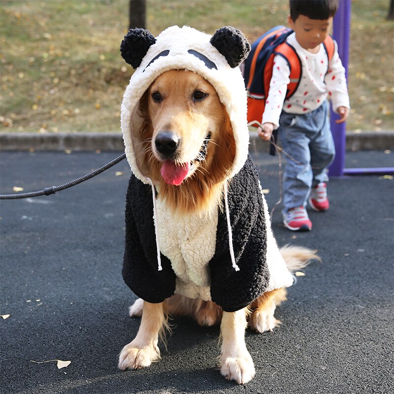 Cappotto invernale con cappuccio per cani di grossa taglia. Abbigliamento chic di lusso per il tuo Pet.