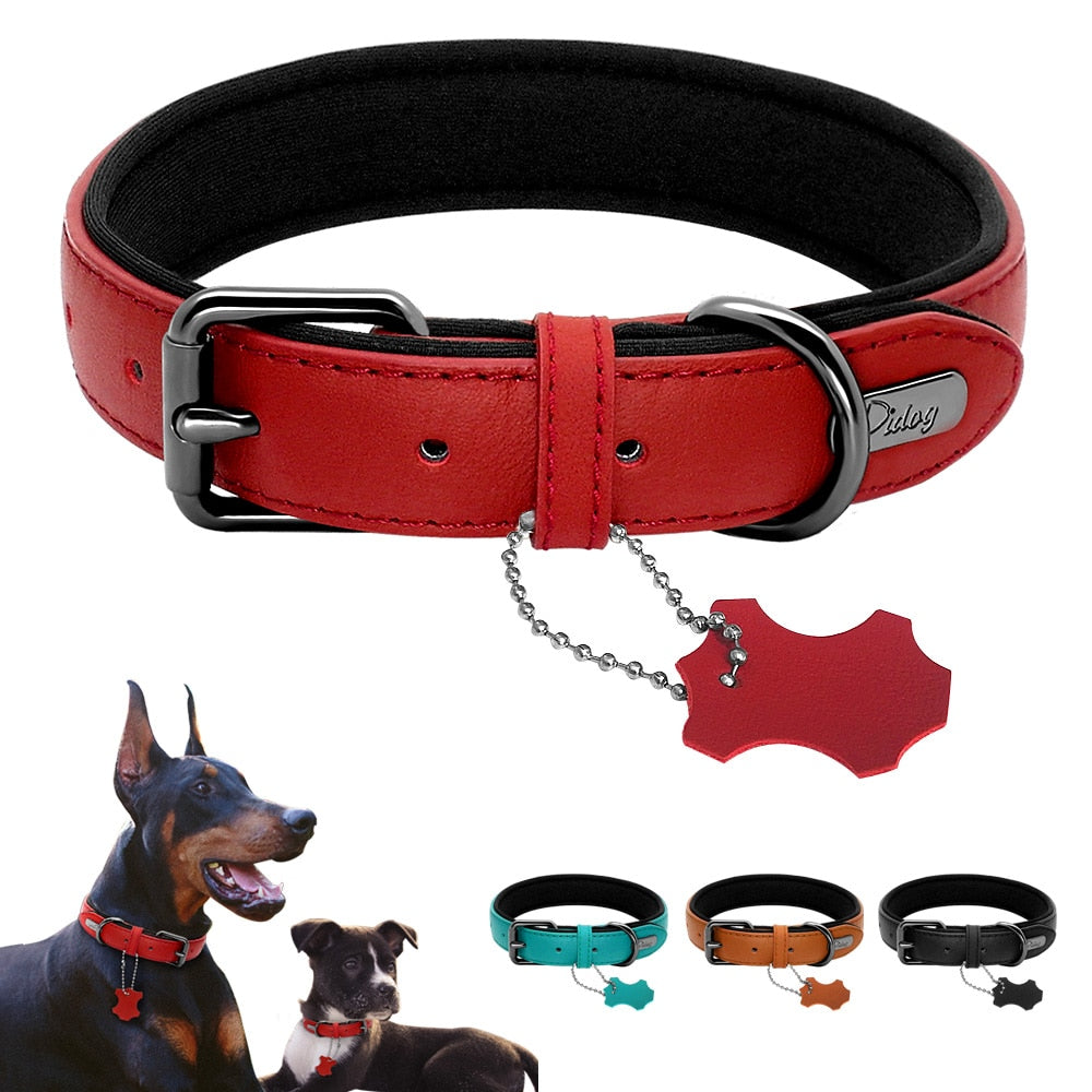 Leather Dog Collar Neoprene Padded Pet Collar Leash Harness for Small Medium Dogs For Bulldog Bull Terrier Pet Shop