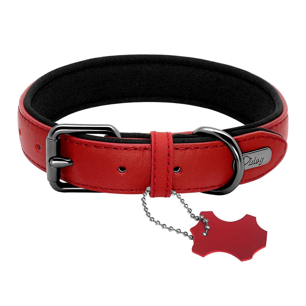 Leather Dog Collar Neoprene Padded Pet Collar Leash Harness for Small Medium Dogs For Bulldog Bull Terrier Pet Shop