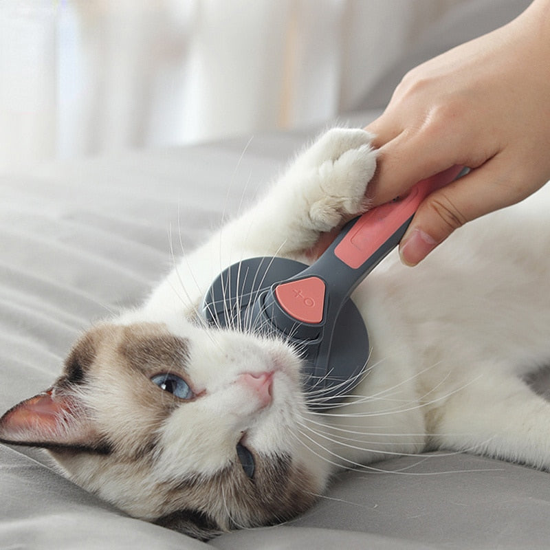 Cat Comb Dog Comb Cat Hair Brush Pet Dog Hair Special Needle Combs Cat Hair Cleaner Cleaning and Beauty Products