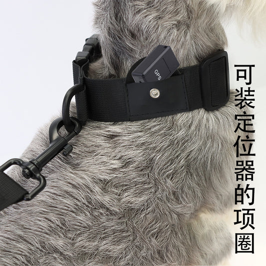 Amazon explosion pet positioning collar dogs anti-walking loss loop waterproof positioning dog dog collar pet supplies